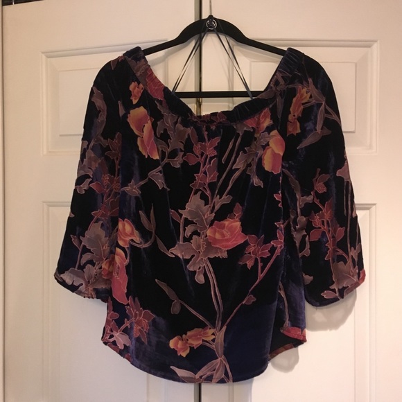 Skies are Blue Velvet Top (Stitch Fix) - Picture 2 of 3